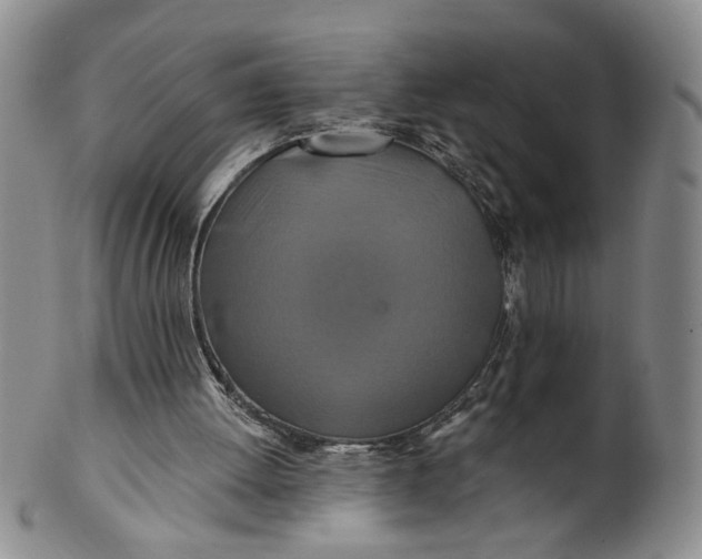 X0000100750052200807101713