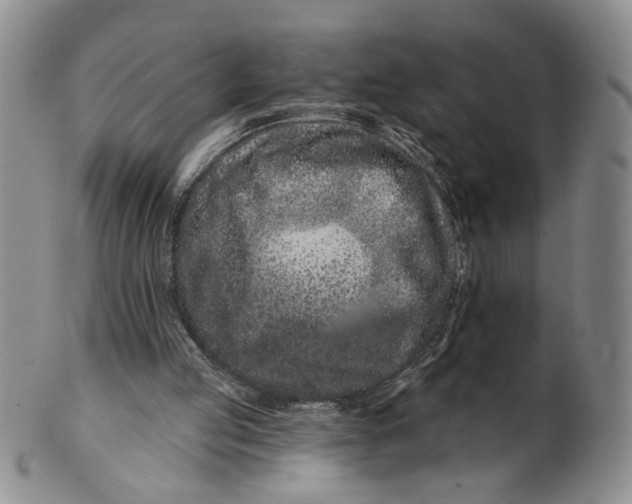 X0000100750053200807101713