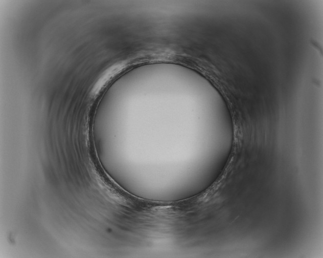 X0000100750054200807101713