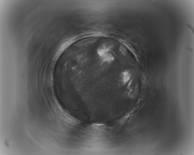 X0000100750055200807101713