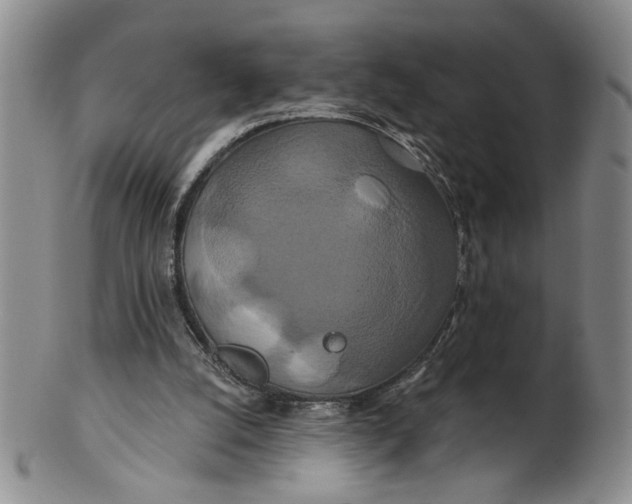 X0000100750056200807101713