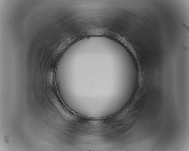 X0000100750057200807101713