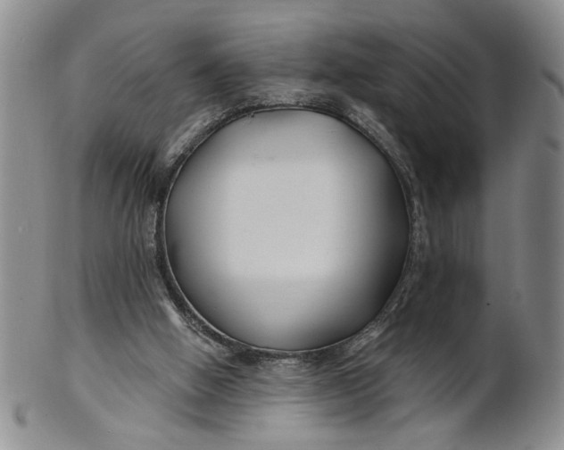 X0000100750058200807101713