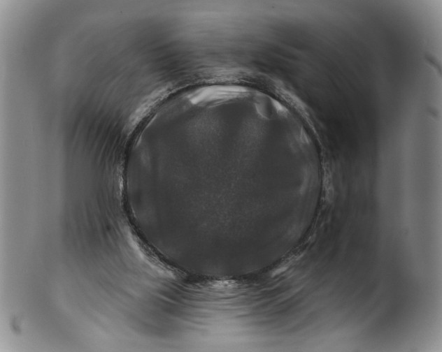 X0000100750059200807101713