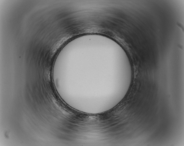 X0000100750060200807101713