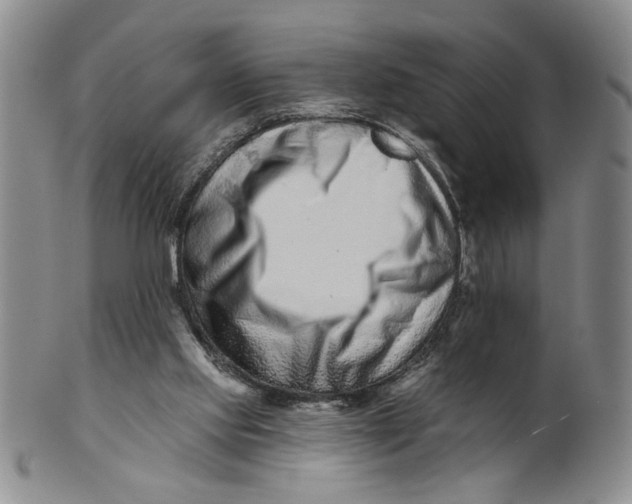 X0000100750061200807101713