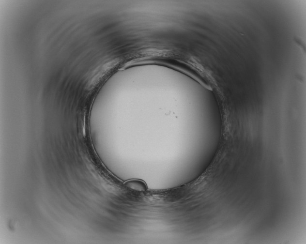 X0000100750062200807101713