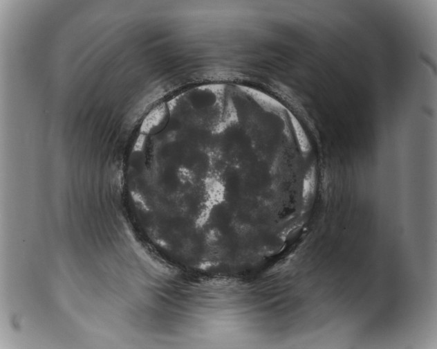 X0000100750063200807101713