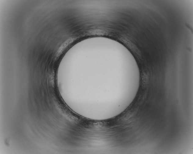 X0000100750064200807101713