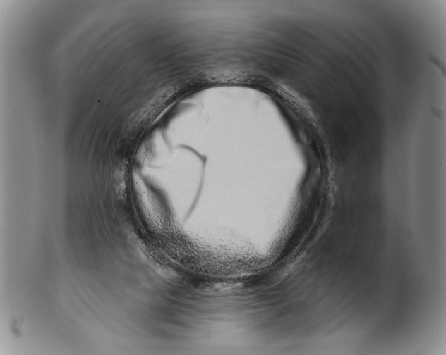 X0000100750065200807101713