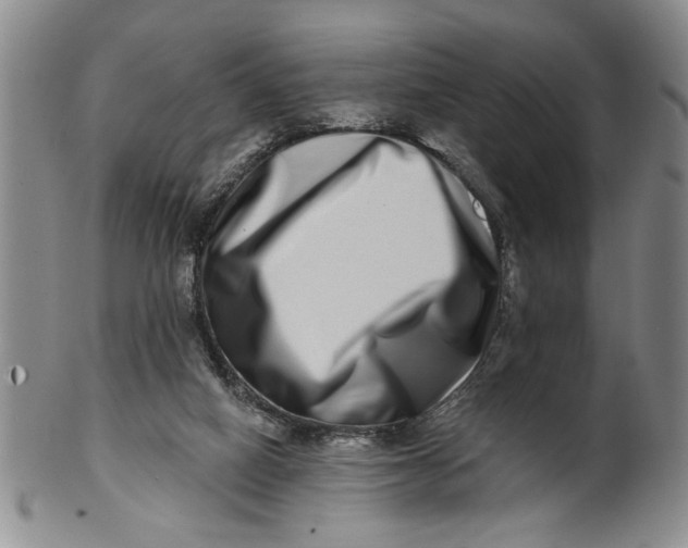 X0000100750066200807101713