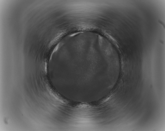 X0000100750067200807101713