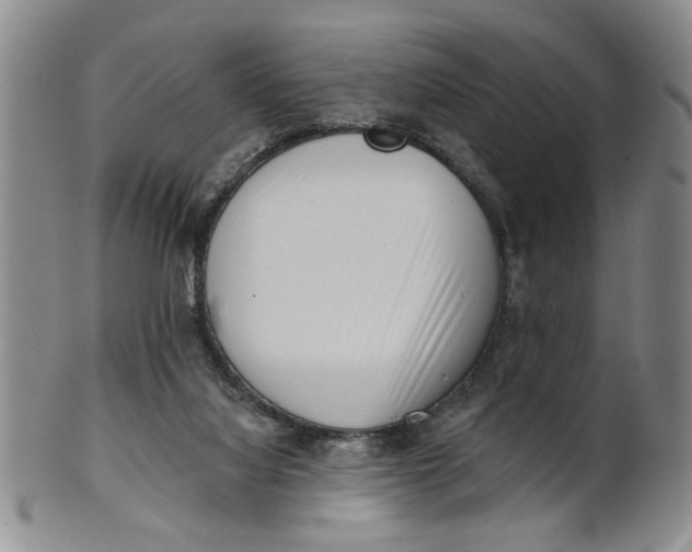 X0000100750068200807101713