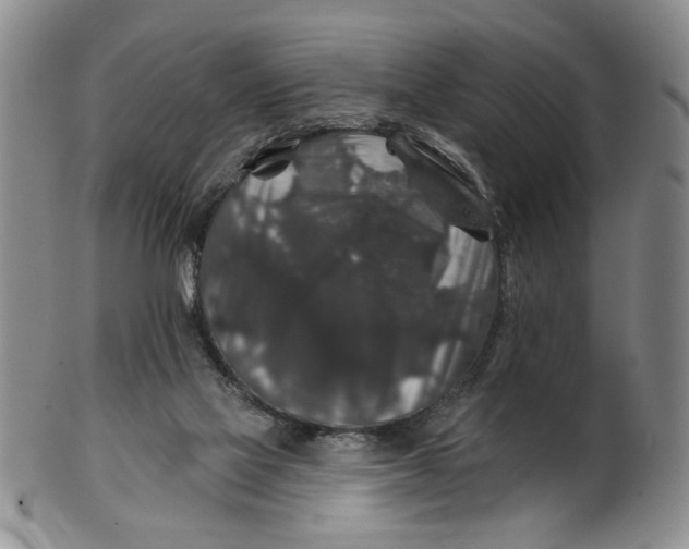 X0000100750069200807101713