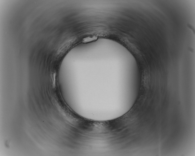 X0000100750070200807101713