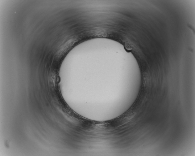 X0000100750072200807101713