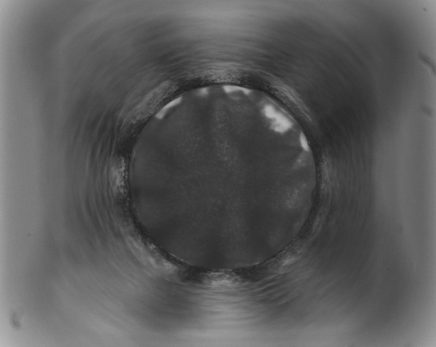 X0000100750073200807101713