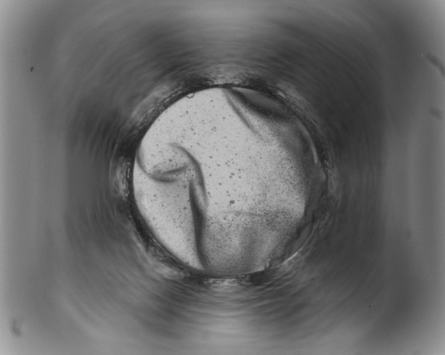 X0000100750074200807101713