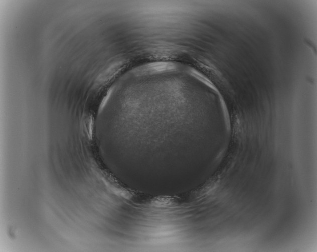 X0000100750076200807101714