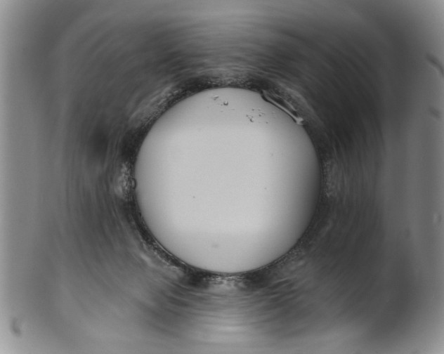 X0000100750077200807101714