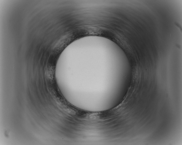 X0000100750078200807101714