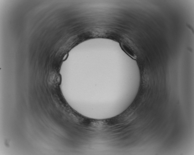 X0000100750079200807101714