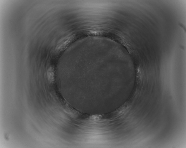 X0000100750080200807101714