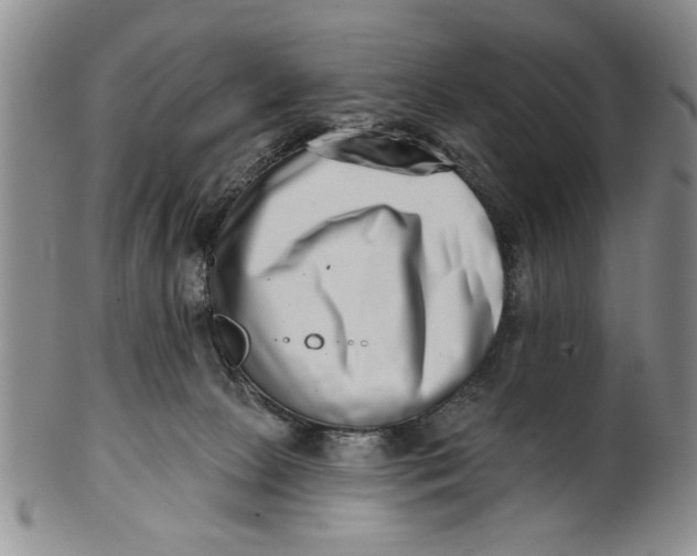 X0000100750081200807101714