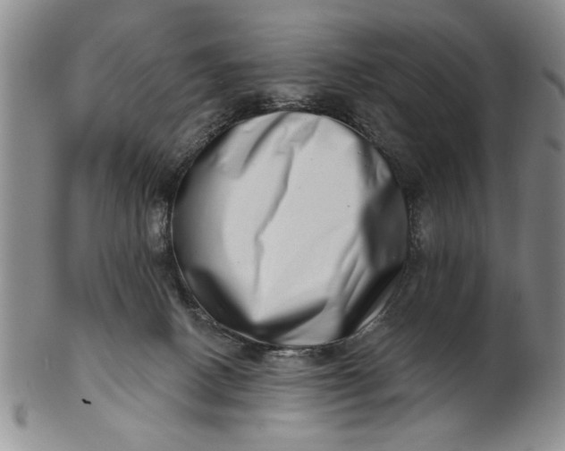 X0000100750082200807101714