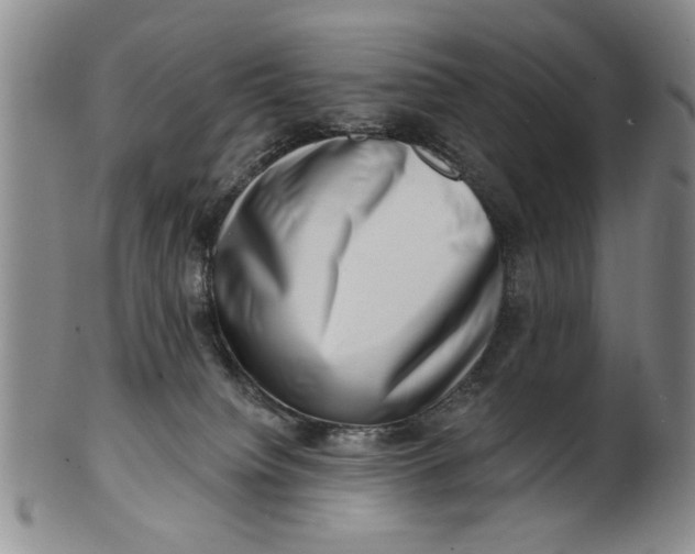 X0000100750084200807101714