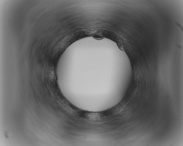 X0000100750085200807101714