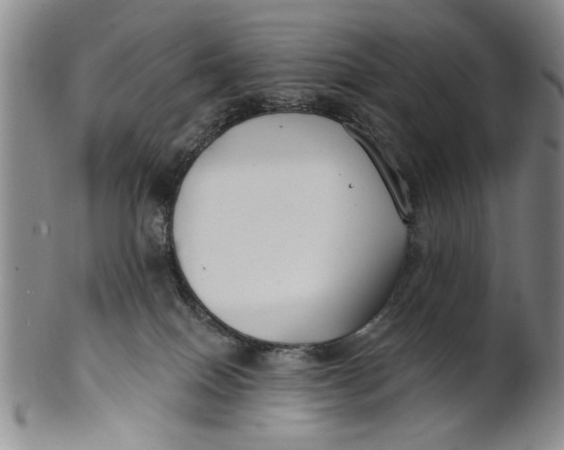 X0000100750086200807101714