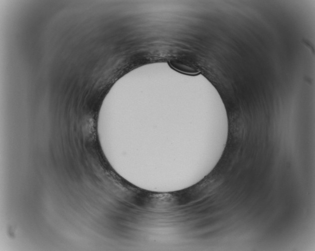 X0000100750087200807101714