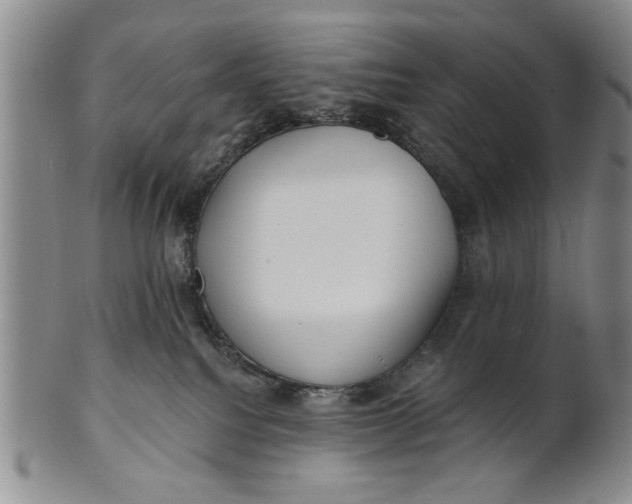 X0000100750088200807101714