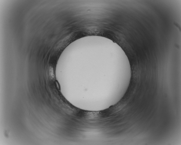 X0000100750089200807101714