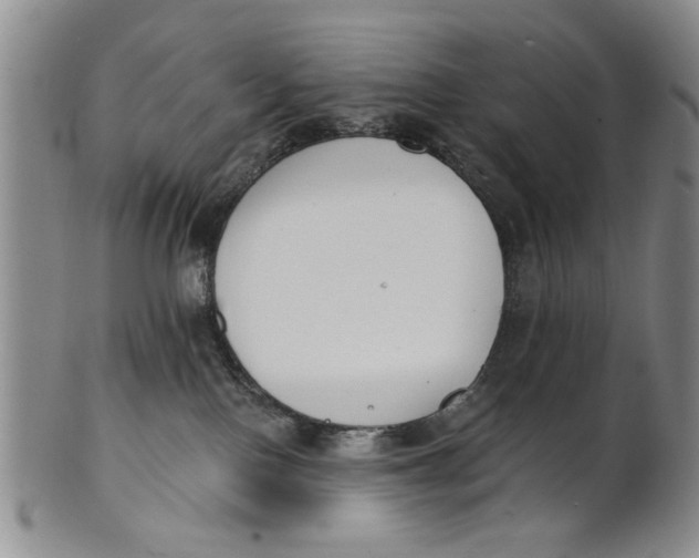 X0000100750090200807101714