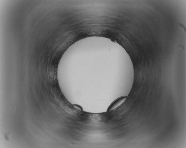 X0000100750091200807101714