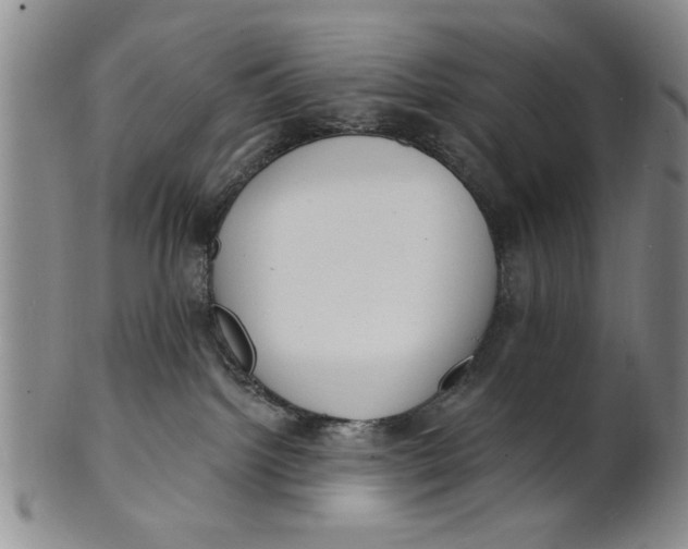 X0000100750092200807101714