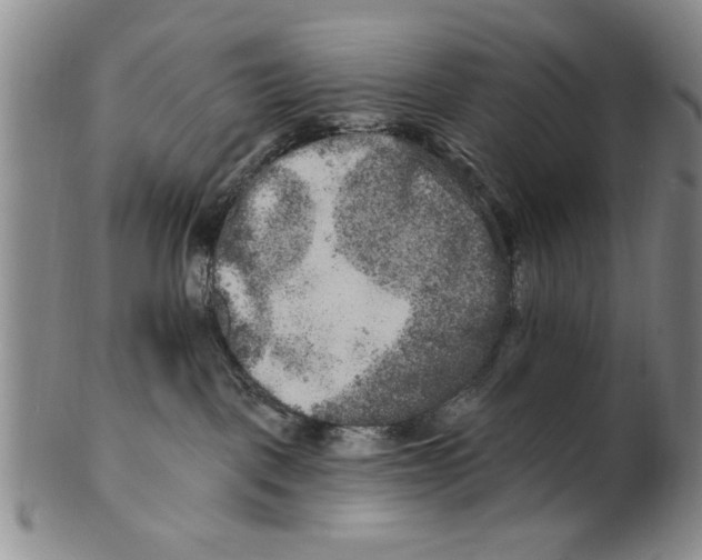 X0000100750093200807101714