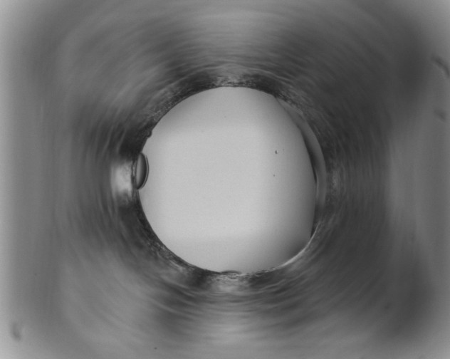 X0000100750094200807101714