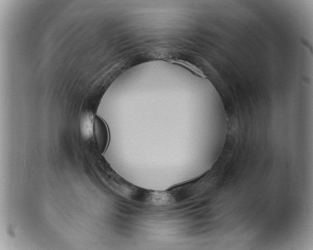 X0000100750095200807101714