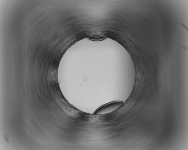 X0000100750096200807101714