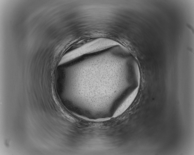 X0000100750097200807101713