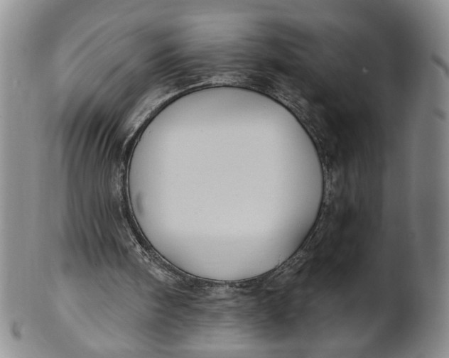 X0000100750098200807101713