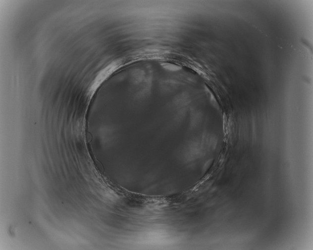 X0000100750099200807101713