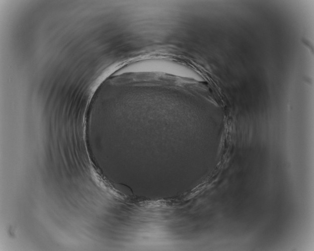 X0000100750100200807101713