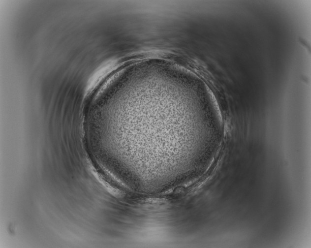 X0000100750101200807101713