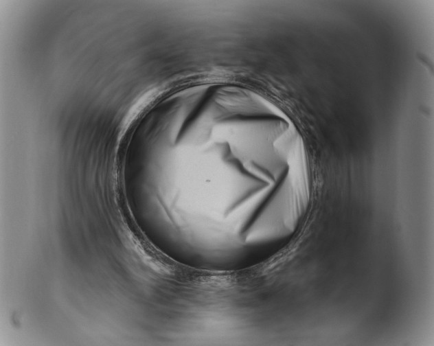 X0000100750102200807101713