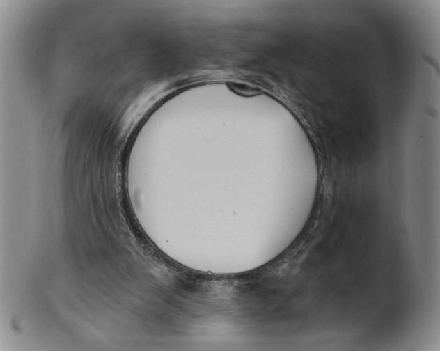 X0000100750103200807101713