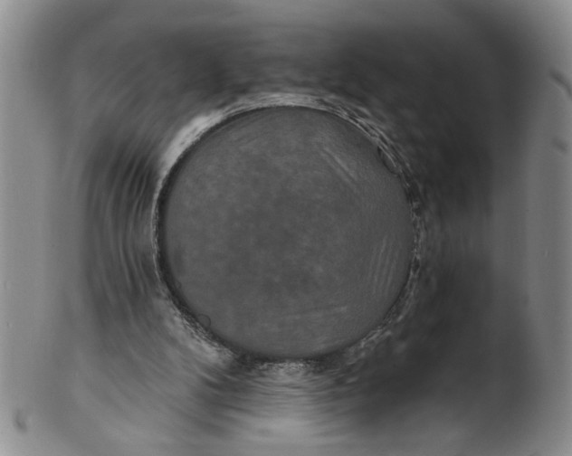 X0000100750104200807101713